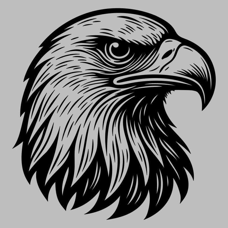 Majestic Eagle Head