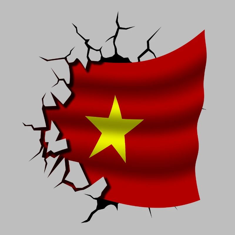 Drapeau du Vietnam - Vietnam - Drapeau Broken Design