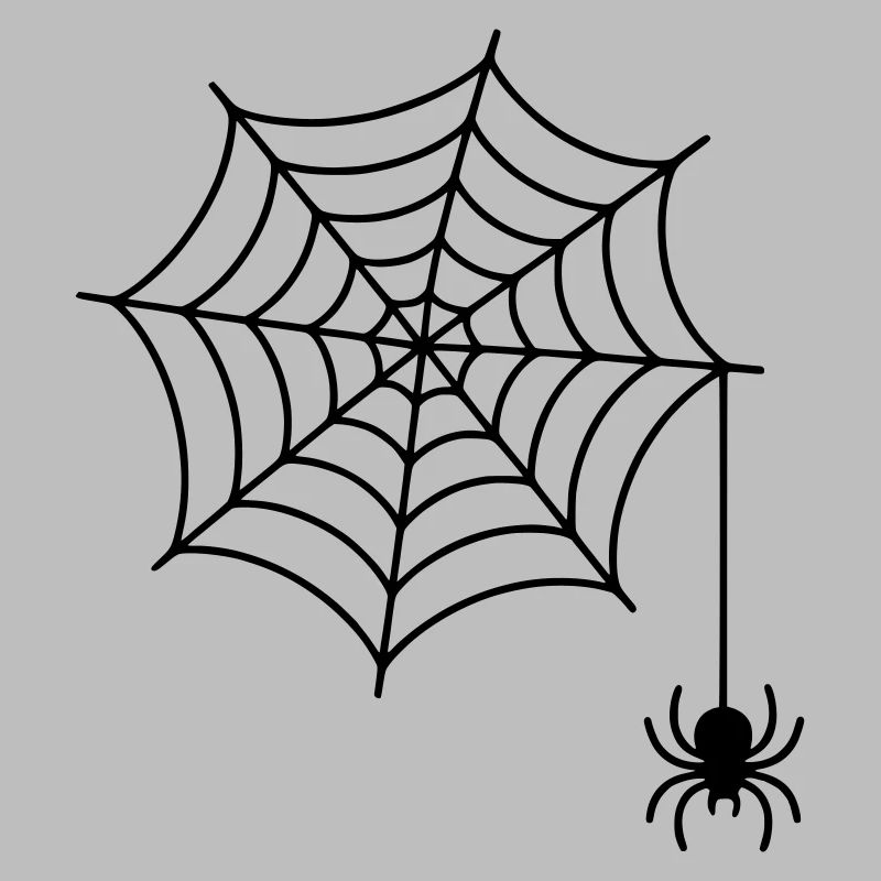Spider web with spider silhouette