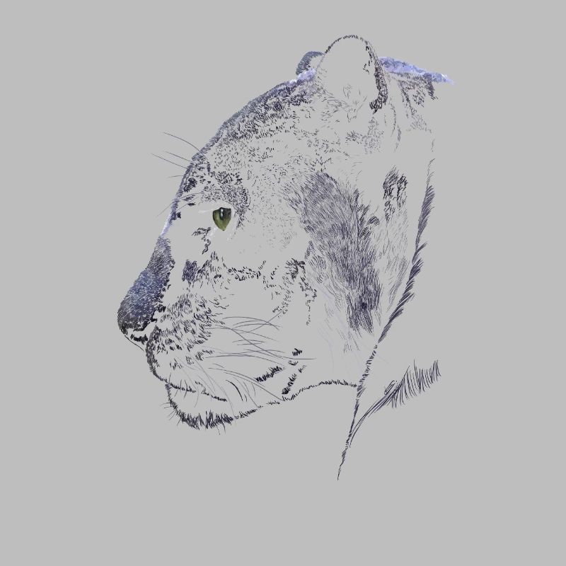 Panther