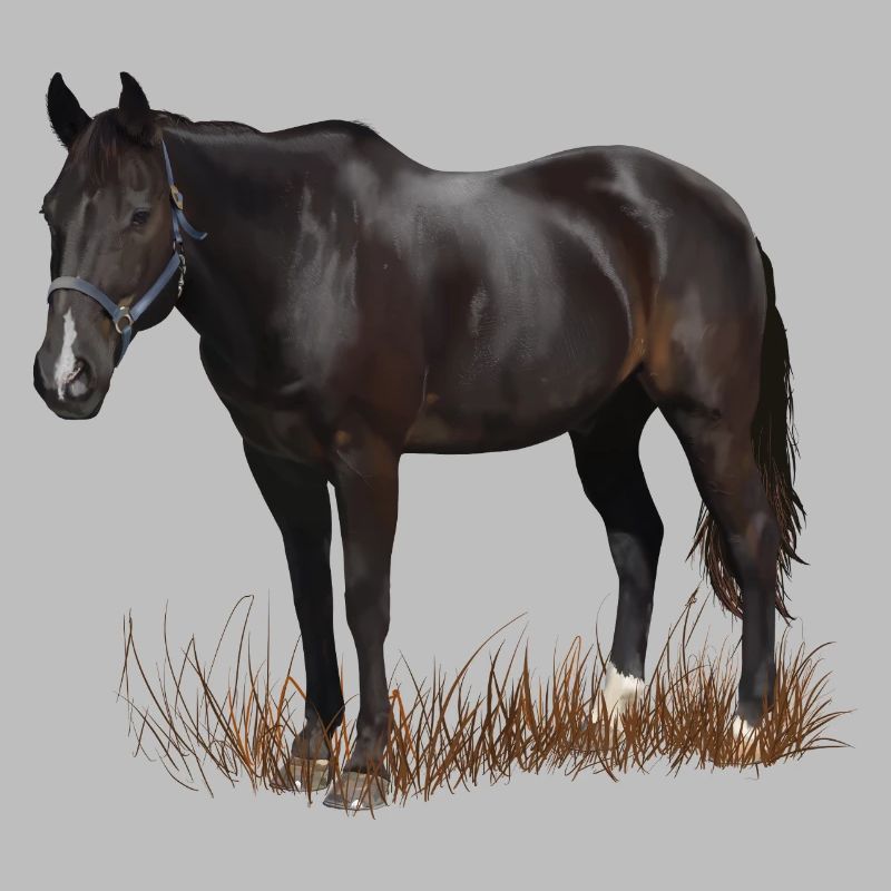 Cheval
