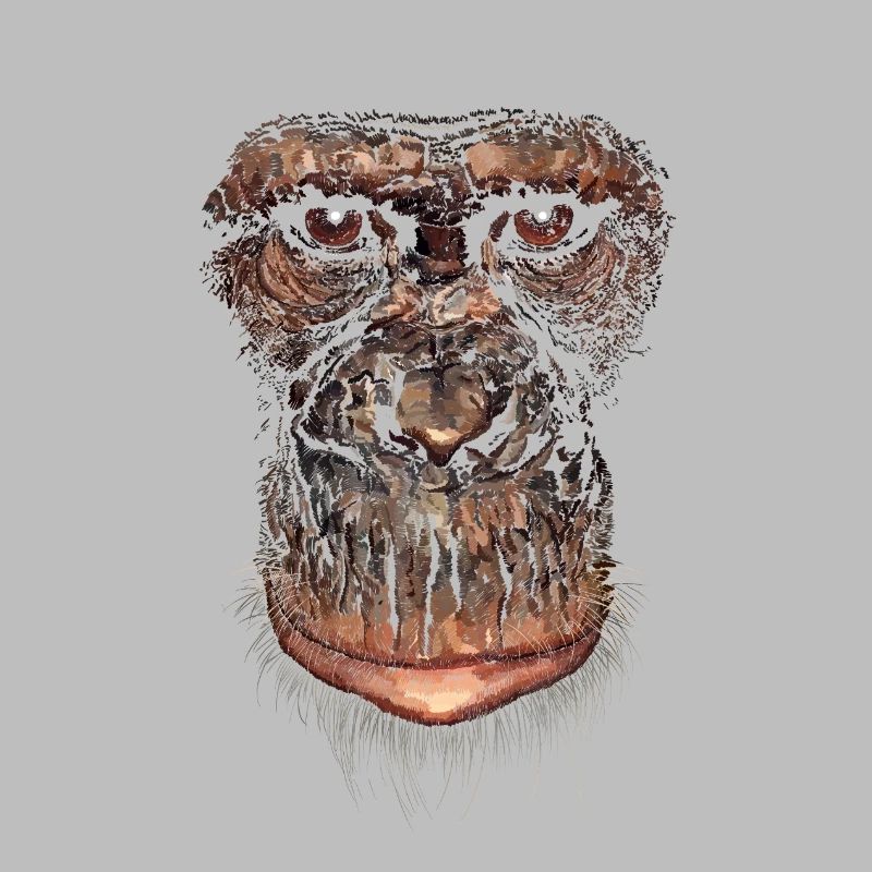 Singe