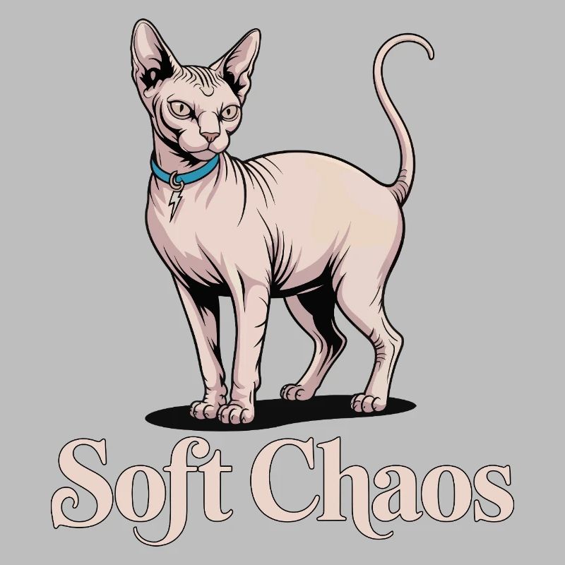 Chat Sphynx Soft Chaos