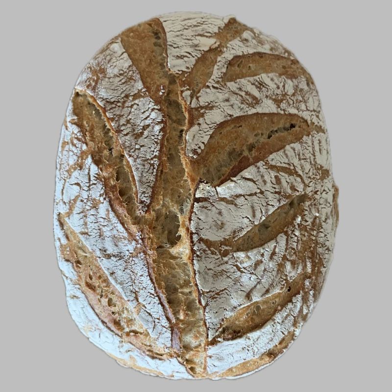 Rustic Sourdough Bread Illustration