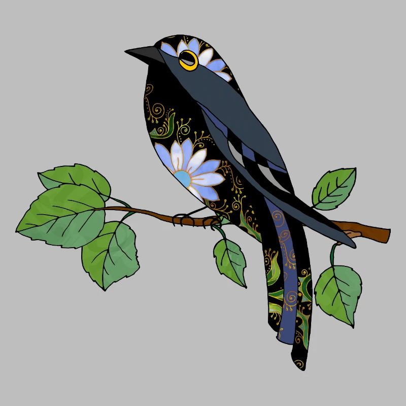 Oiseau coloré