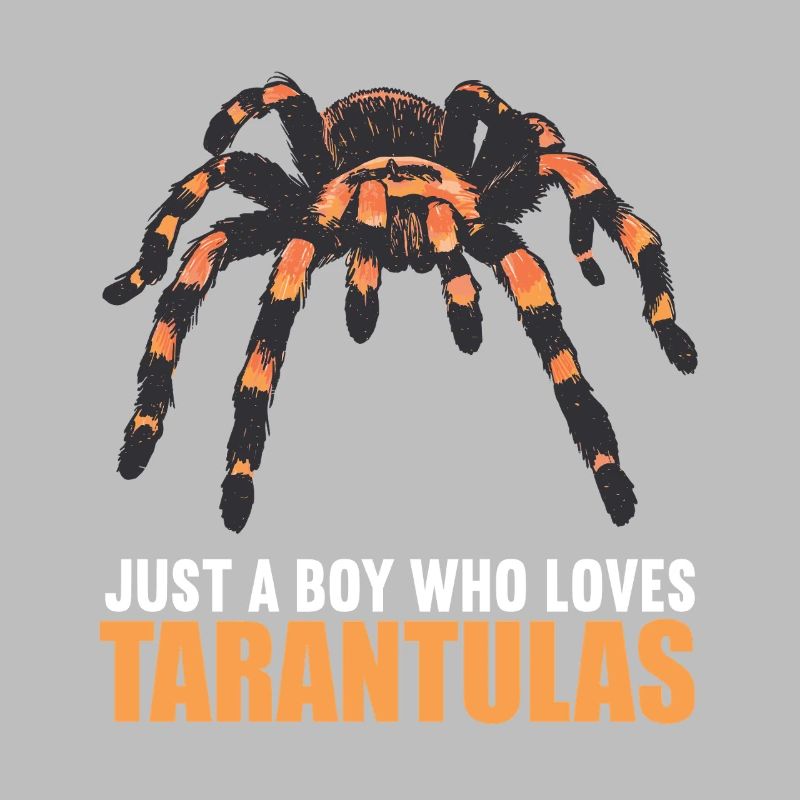 Tarentules Tarentule