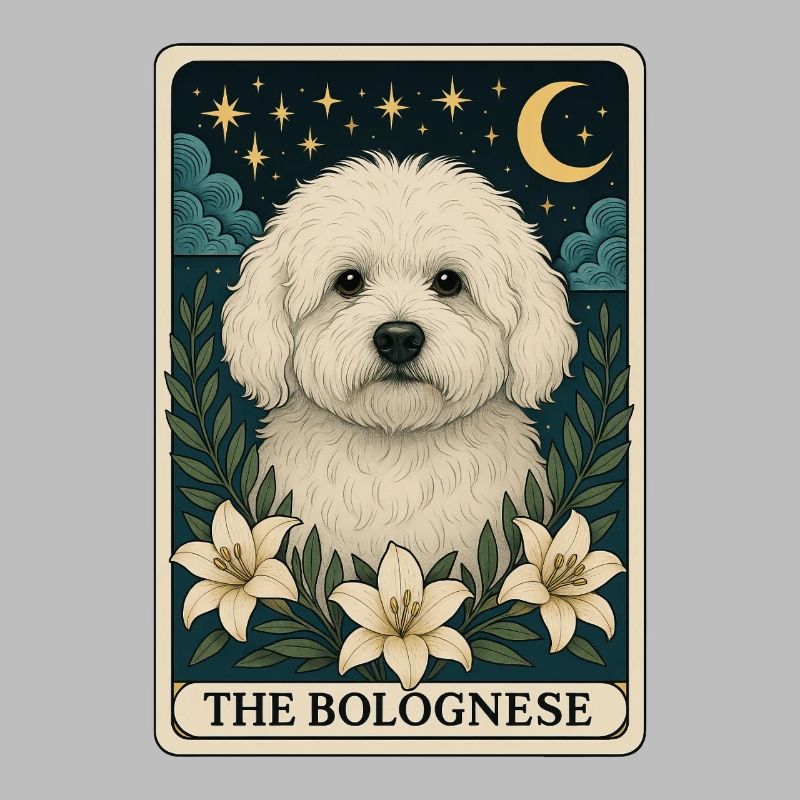 Bolognese