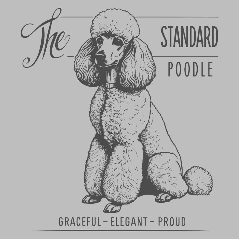 Standard Poodle Elegance and Pride