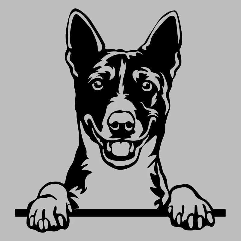 Basenji Head