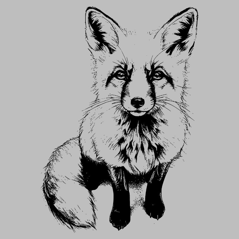 Renard mignon