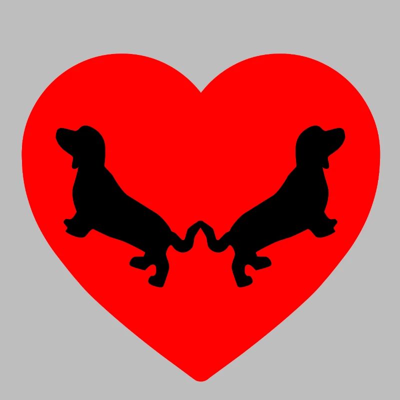 Dachshund