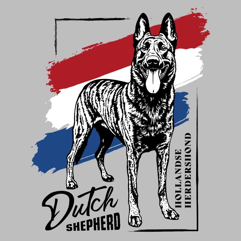 Dutch Shepherd - Dutchie 