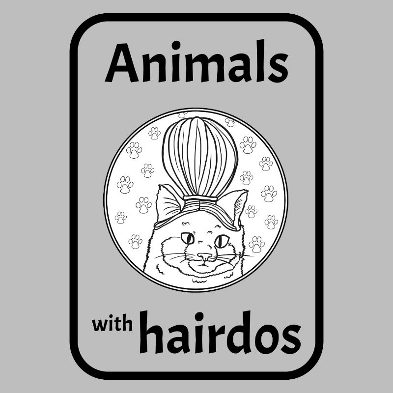 Chat avec coiffure