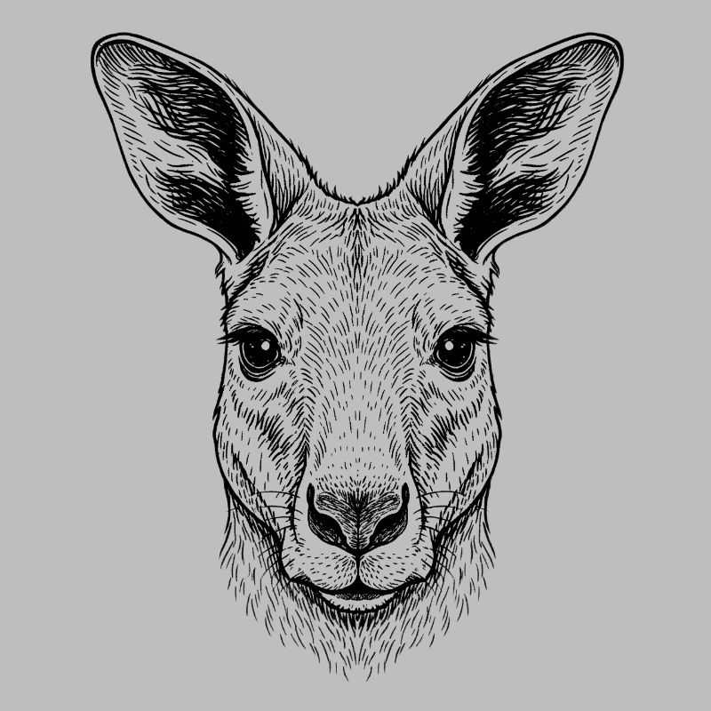 Kangaroo