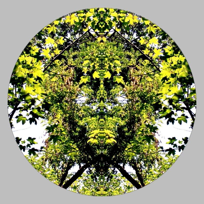 Tree Nature Creature