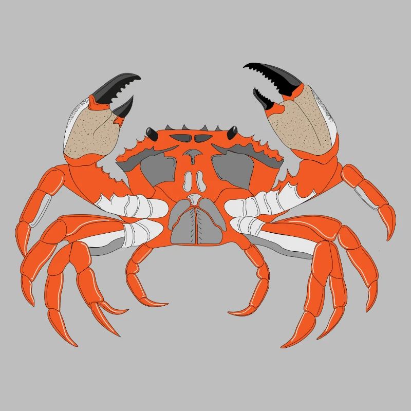 Empreinte de crabe