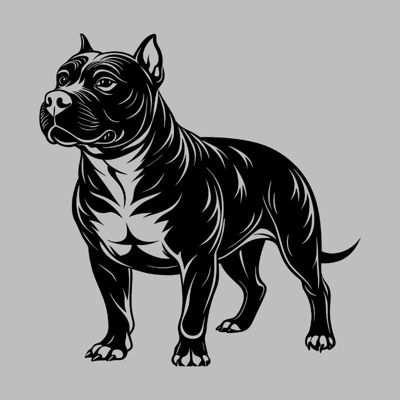 Pitbull américain