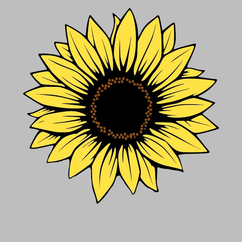 Fleur Fleur Jaune Fleurs Fleur Tournesol Fleur