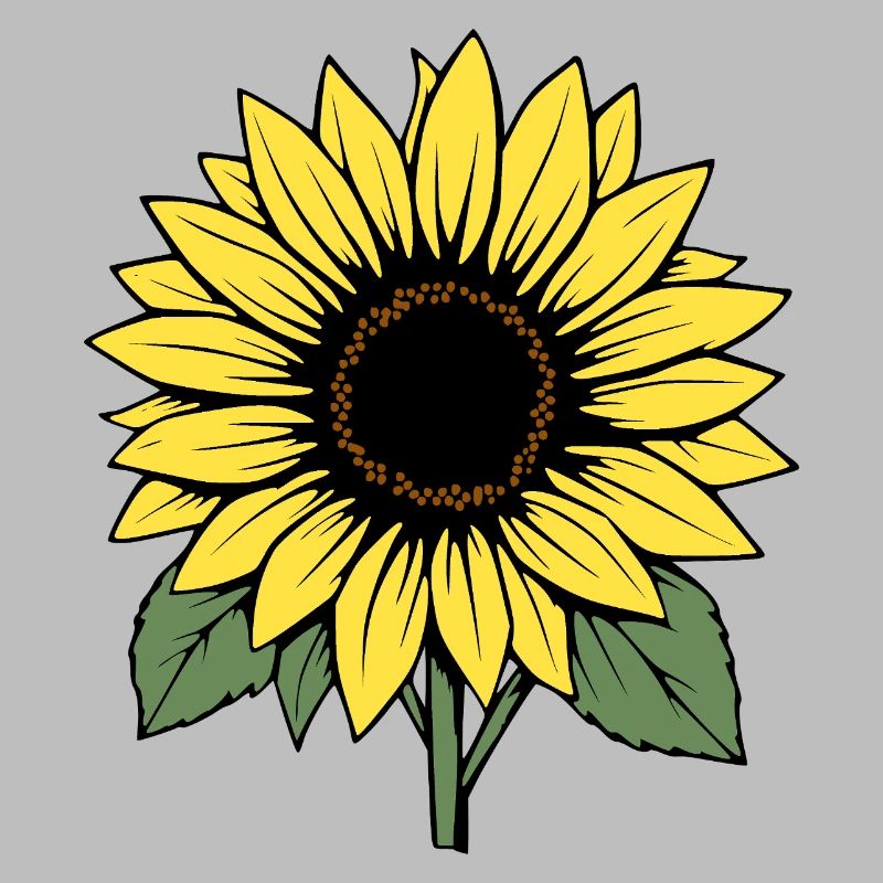 Fleur Fleur Jaune Fleurs Fleur Tournesol Fleur