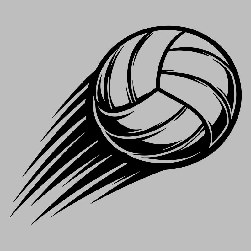 Ballon de volley-ball