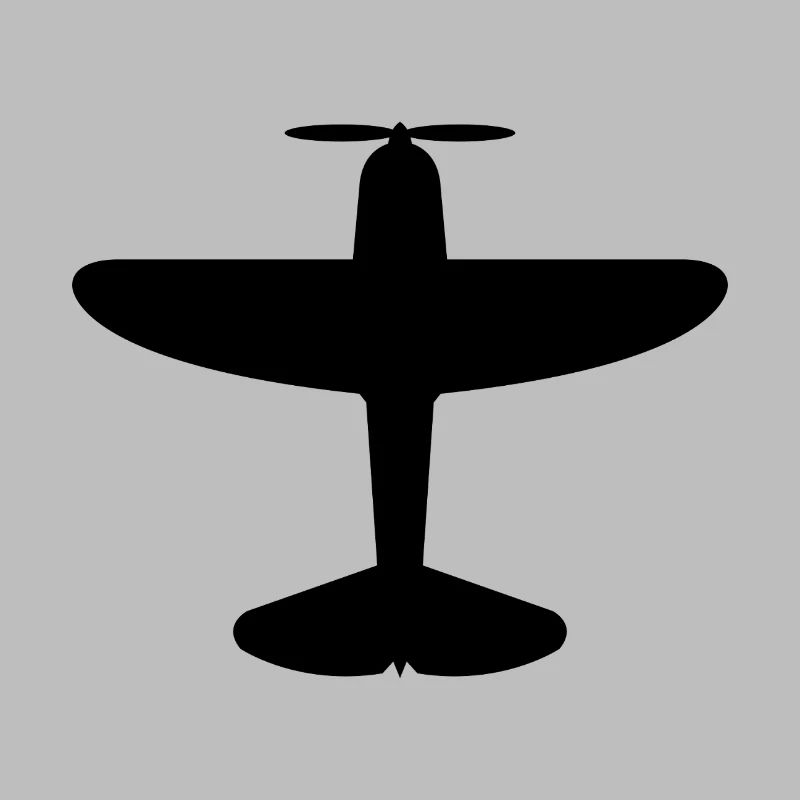 Altes Flugzeug