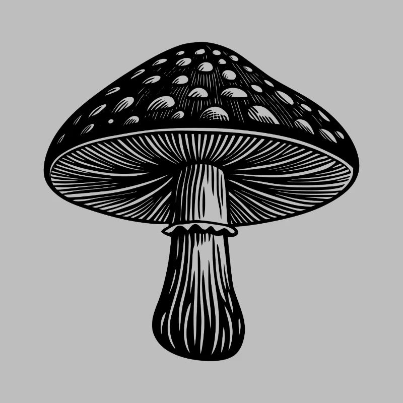 Pilz