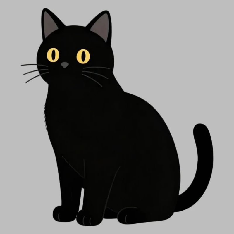 Chat noir chat noir