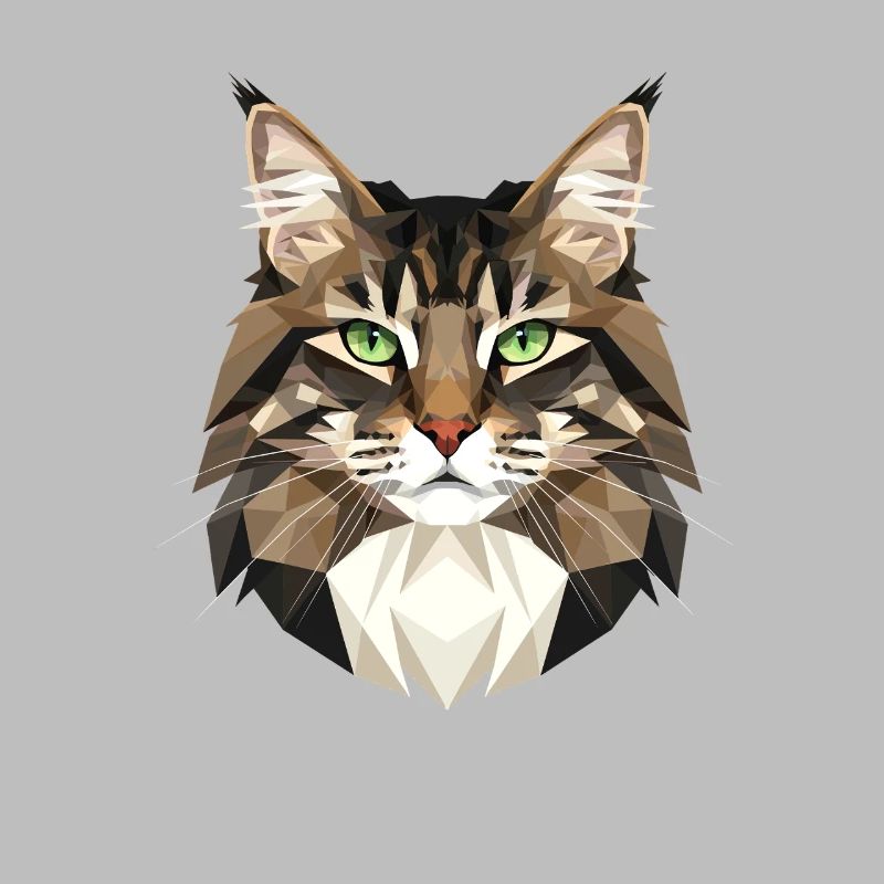 Chat de la forêt norvégienne Chat des forêts norvégiennes