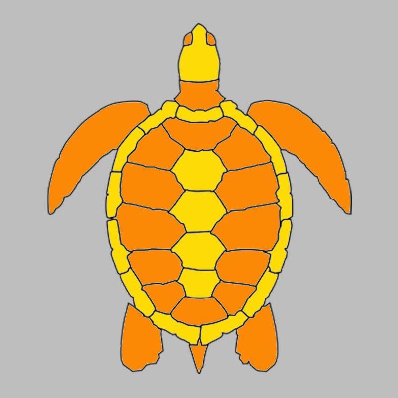 Tortue