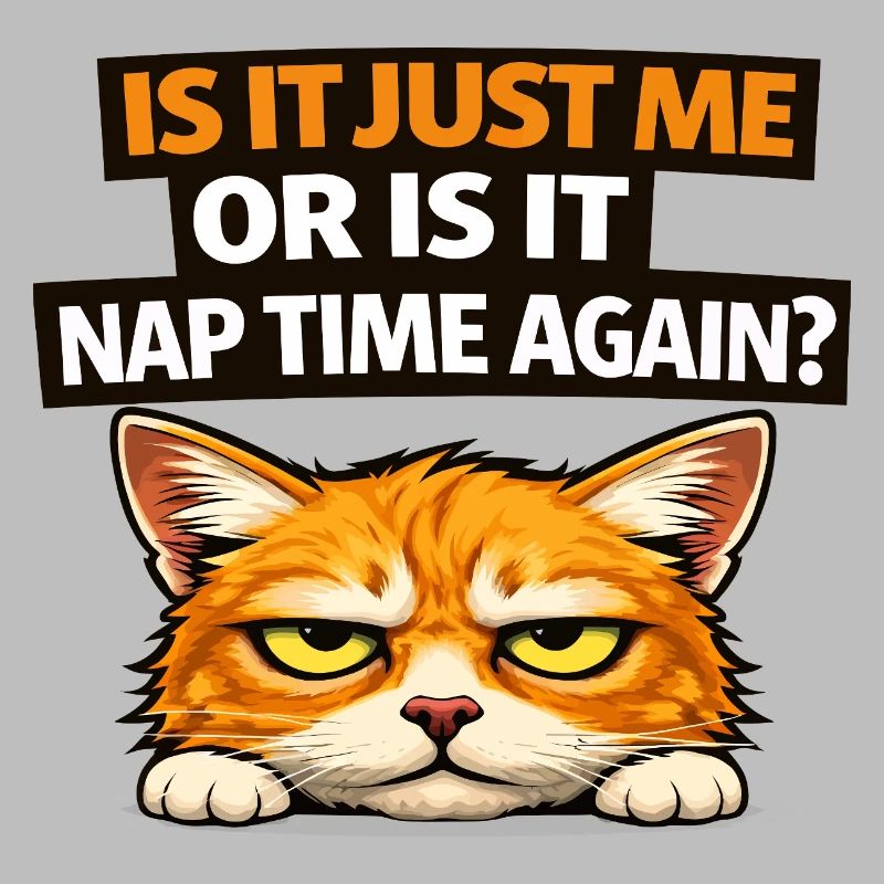 Nap Time Cat Meme