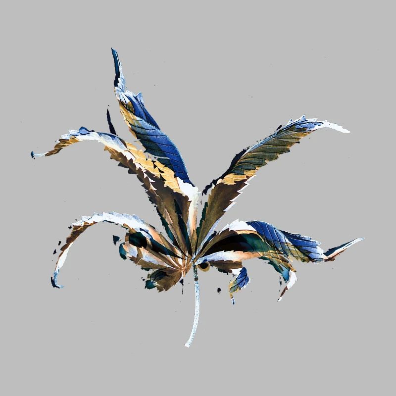 Couches foliaires