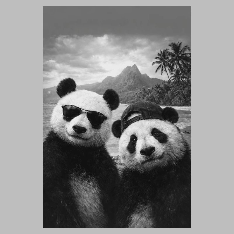 Panda-Duo am Strand mit Sonnenbrille