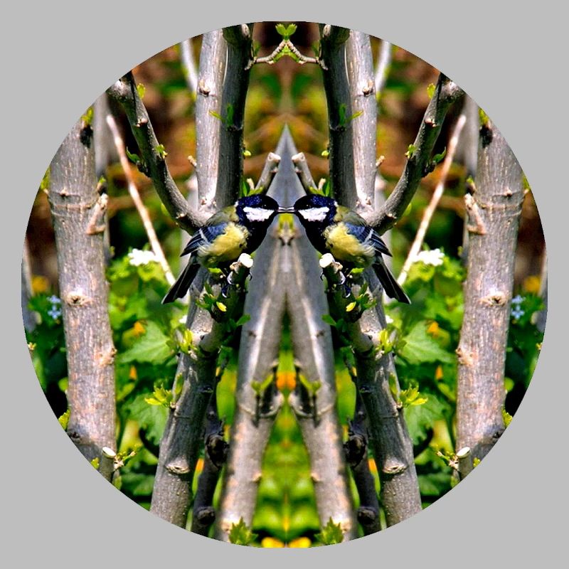 Source du Mandala de la nature dans le parc municipal