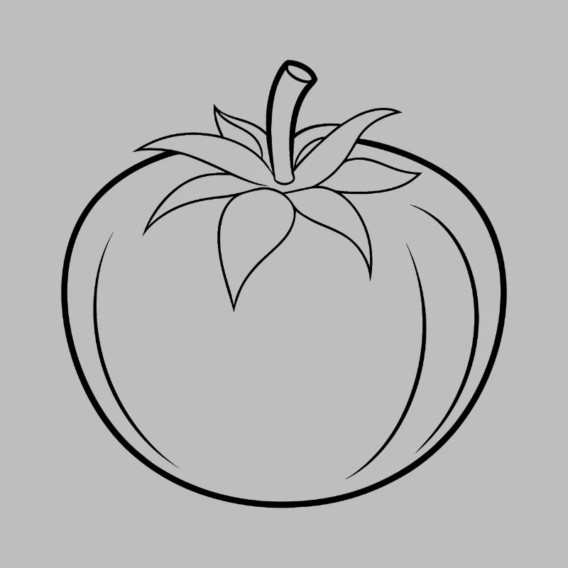 Contour de la tomate