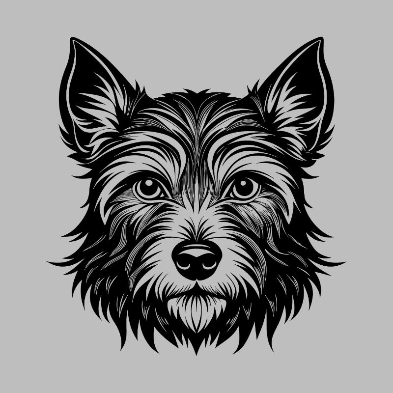 Cairn Terrier