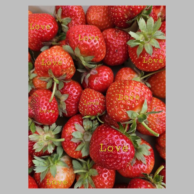 Erdbeeren