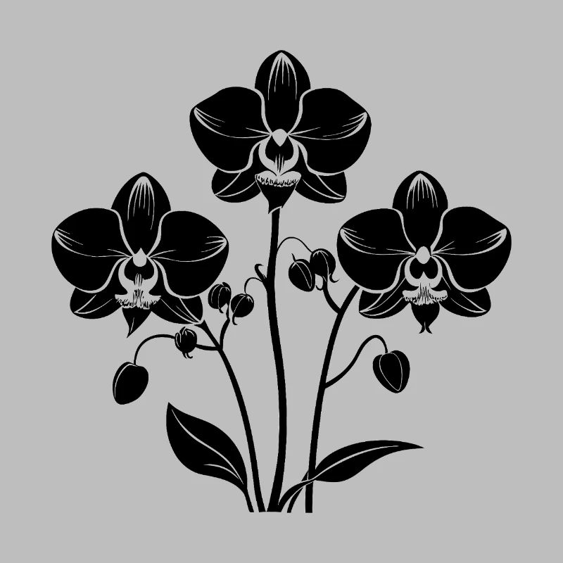 Orchideen