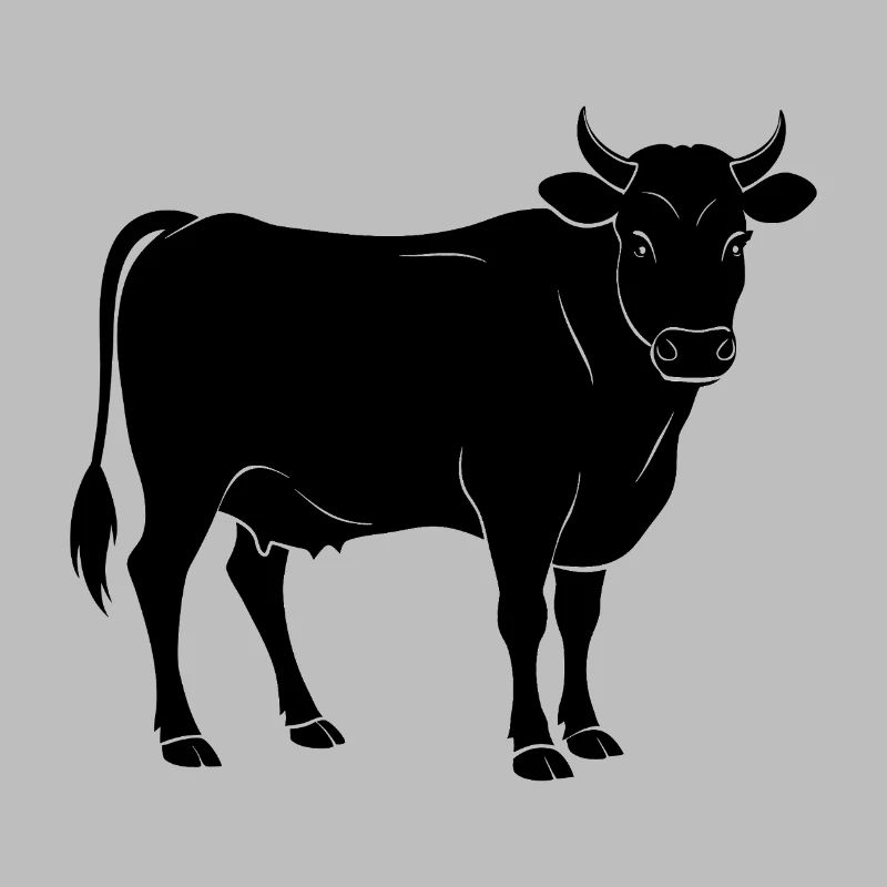 steer
