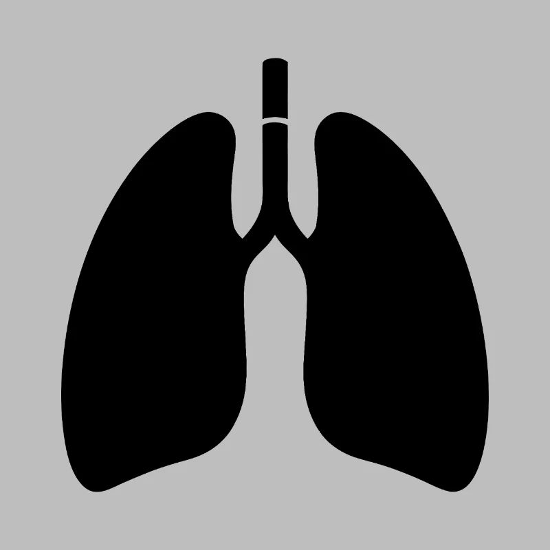 Lungs
