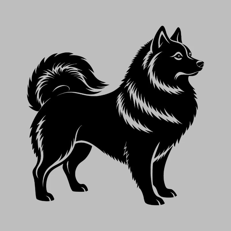 Spitz japonais