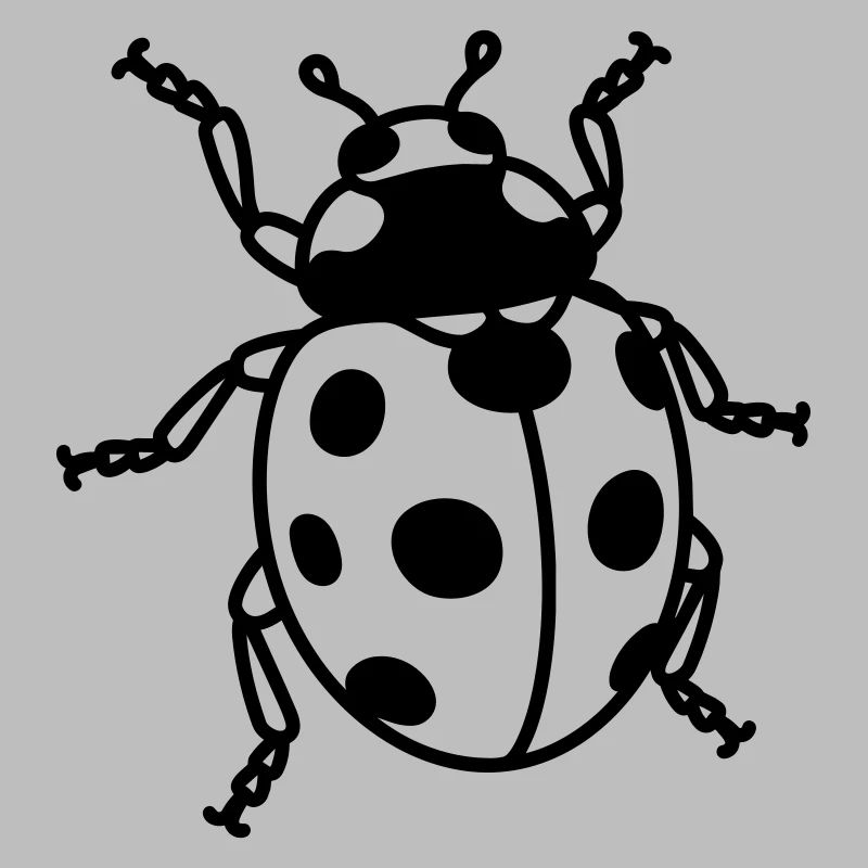 Ladybug
