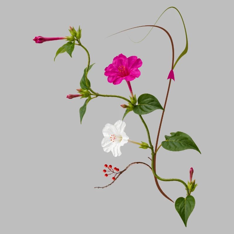 Fleur Miraculeuse Zen Blossoms Design