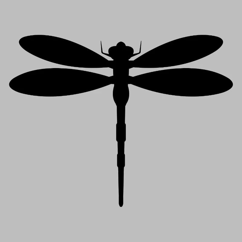 Libellule