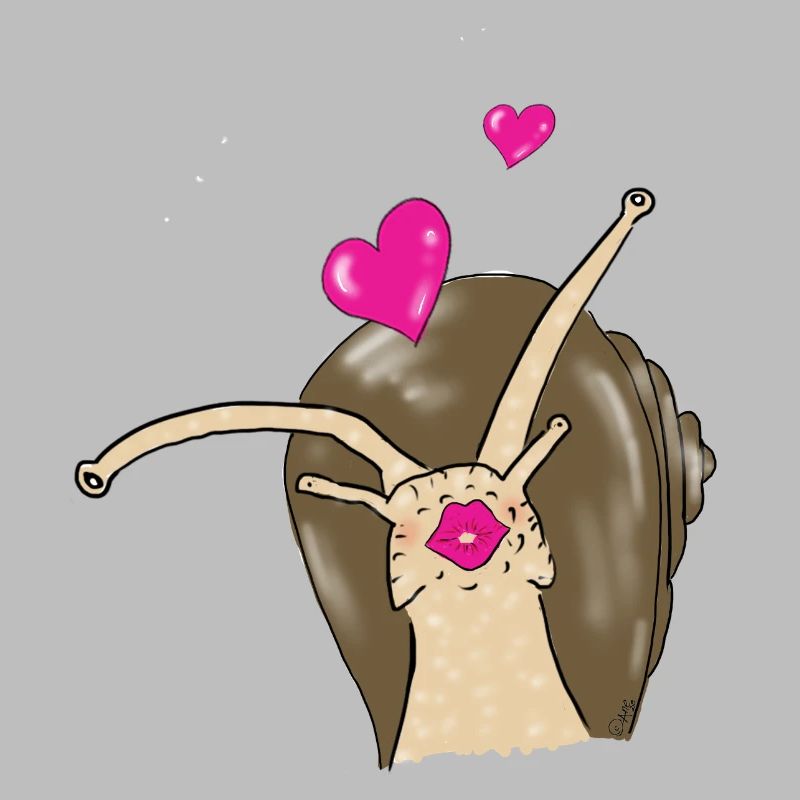 snail
