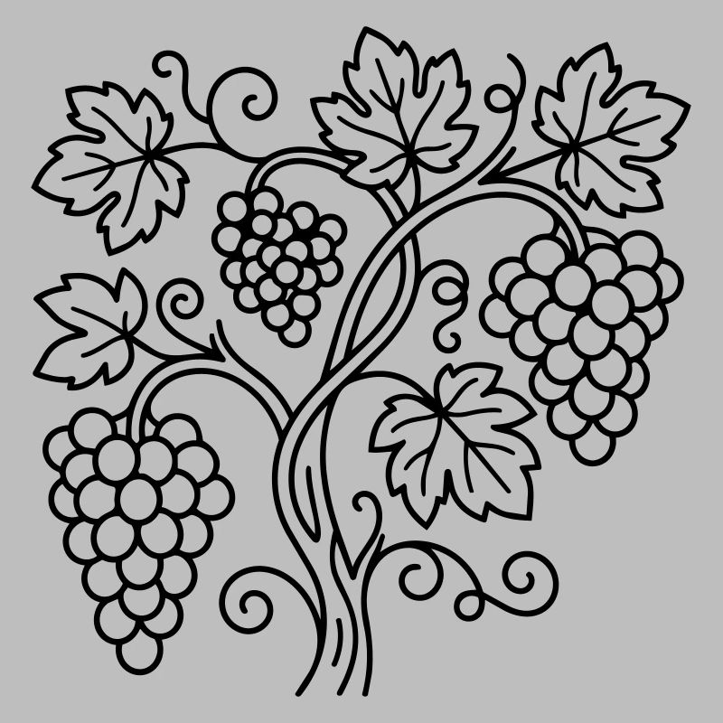 vineyard