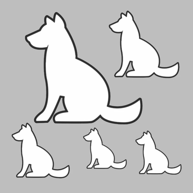 canine