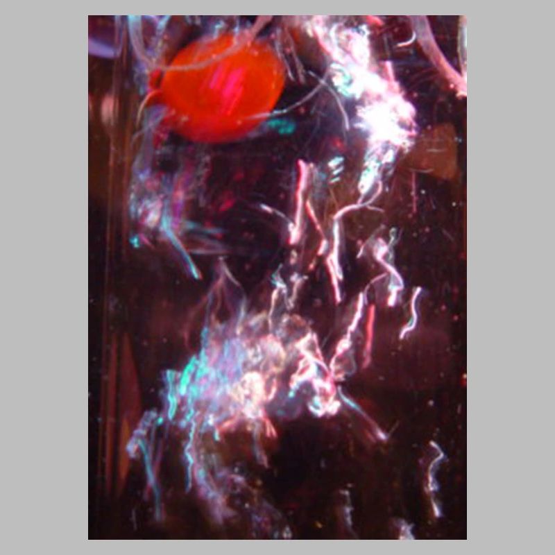 Neon Fluid Reflection