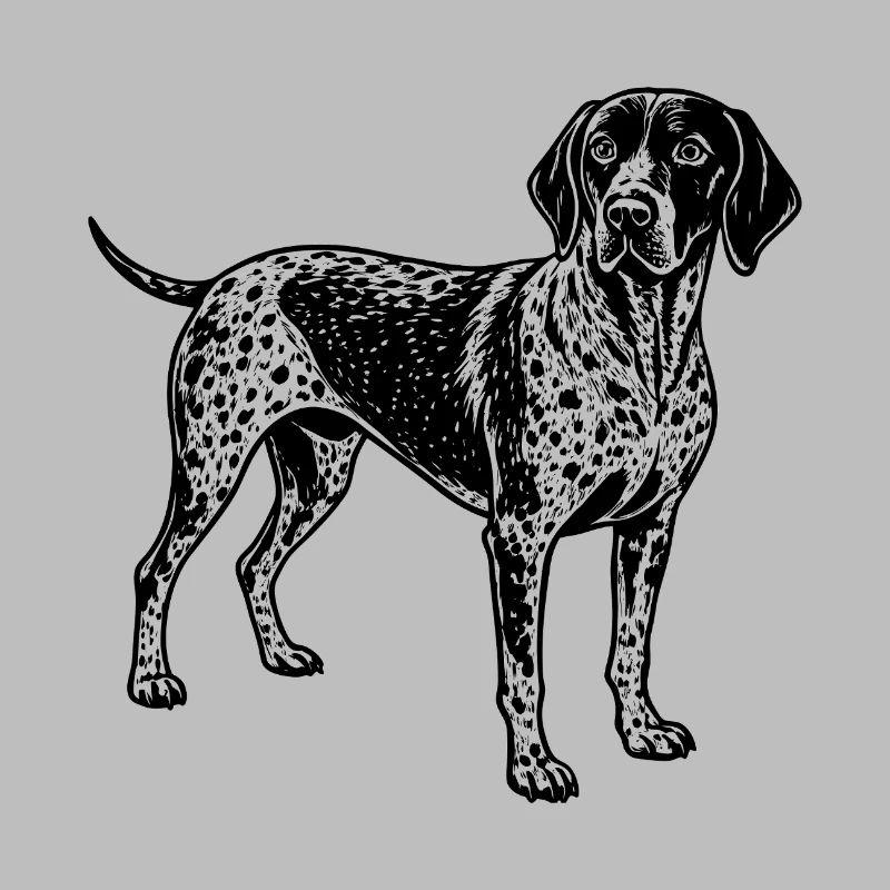 German shorthaired pointer
