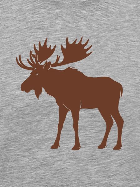 Moose