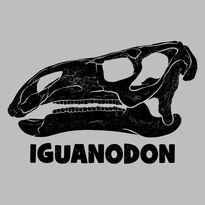 Fossile de crâne d’iguanodon